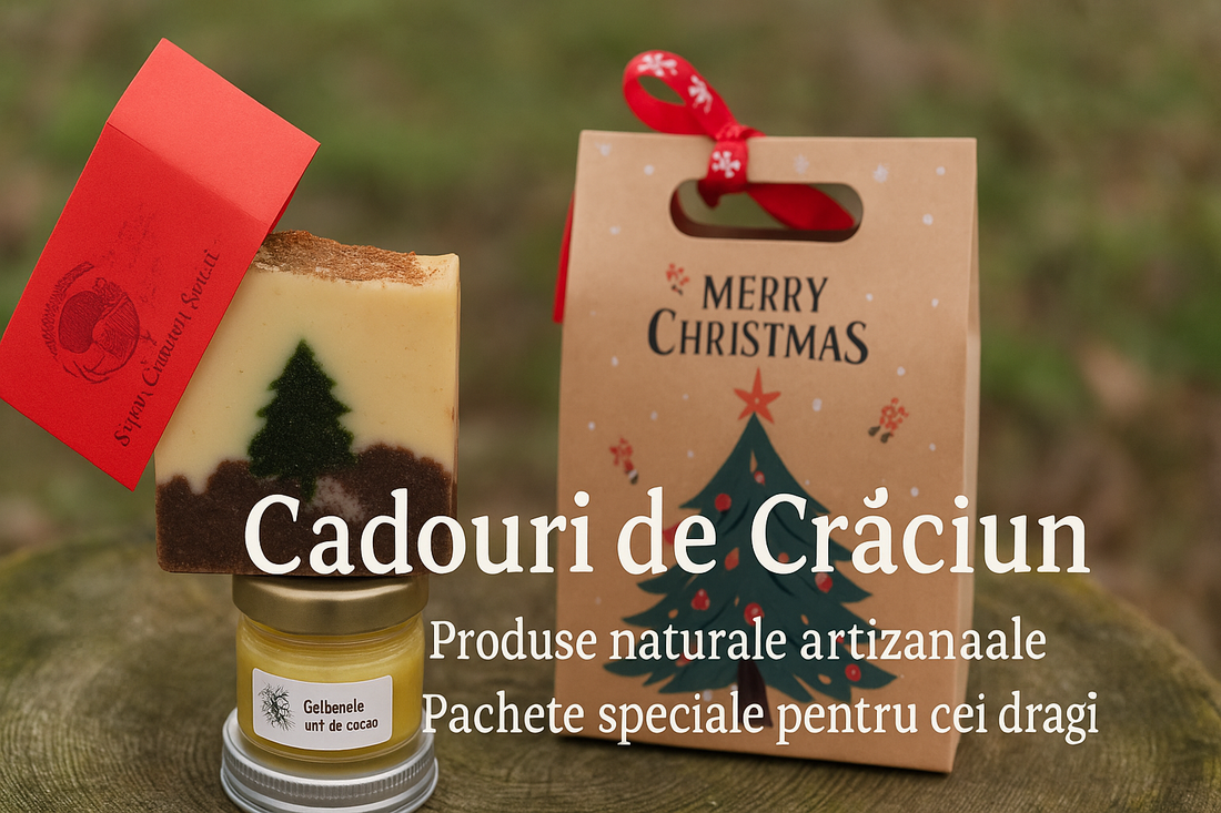 Ghid Cadouri Naturale de Crăciun 2025 - Idei de Cadouri Eco-Friendly