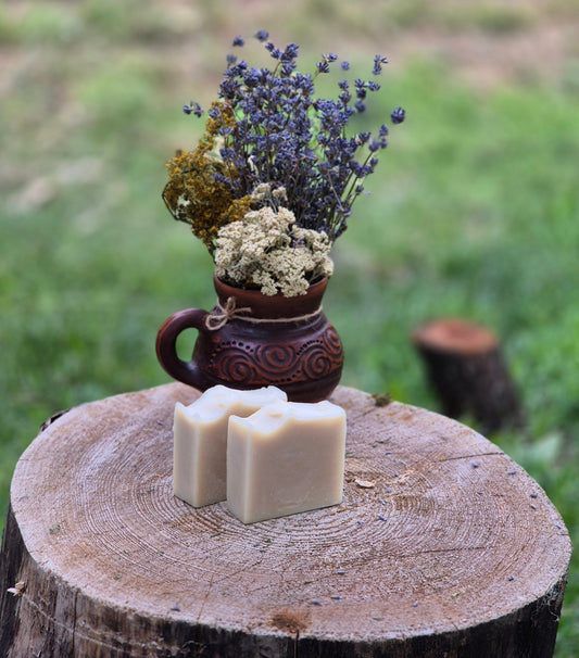 Șampon Natural Solid Antimatreata cu Ulei de Neem