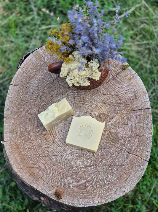 Șampon Natural Solid cu Ulei de Dafin