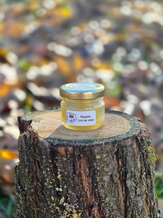 Cremă Naturală cu Păpădie si Unt de Shea - 👣 Desculți în Natură