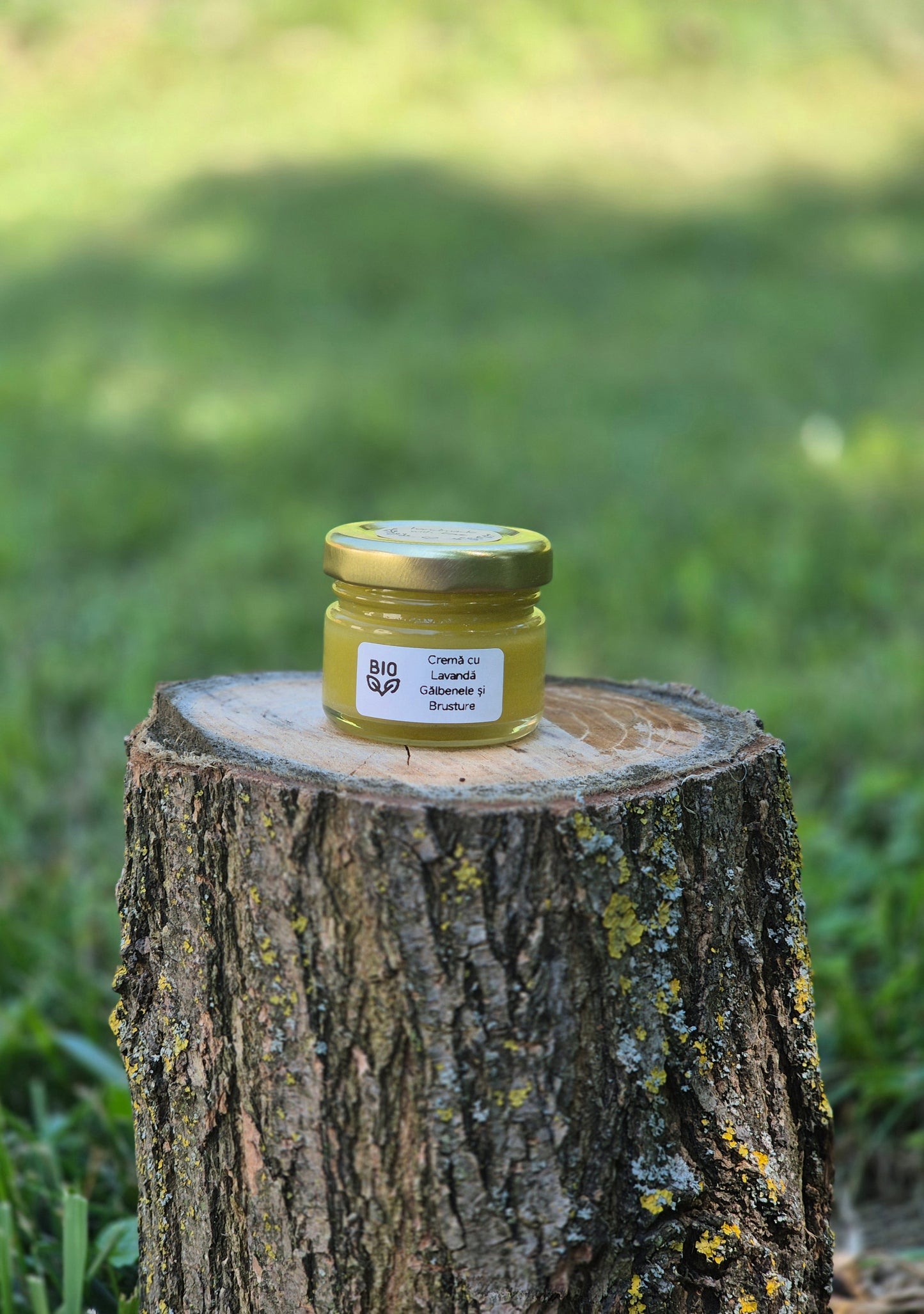 Cremă Naturală cu Lavandă, Gălbenele și Brusture