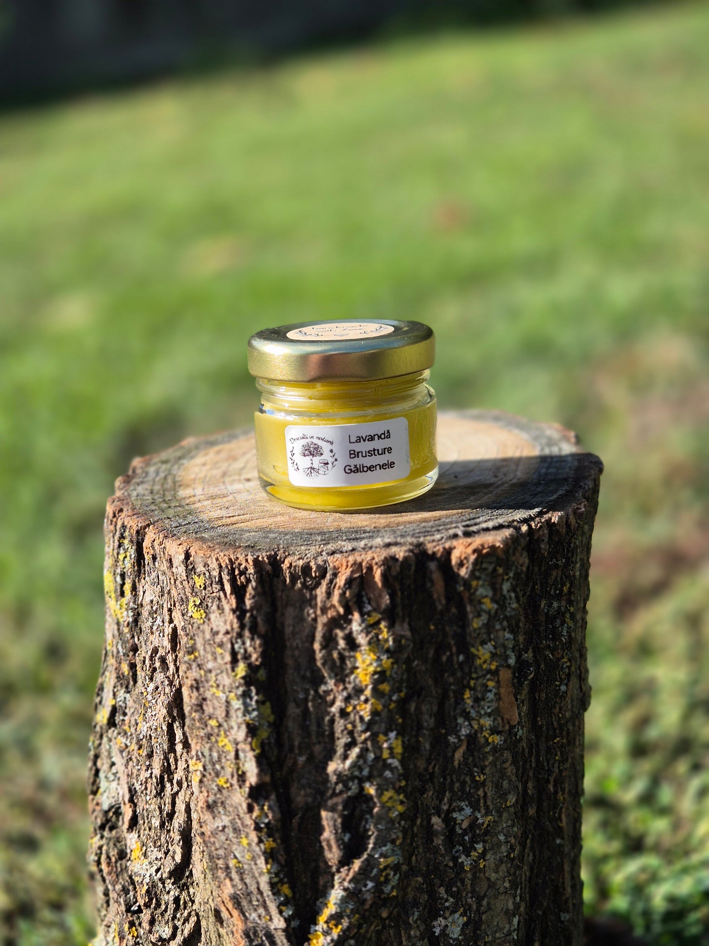 Cremă Naturală cu Lavandă, Gălbenele și Brusture